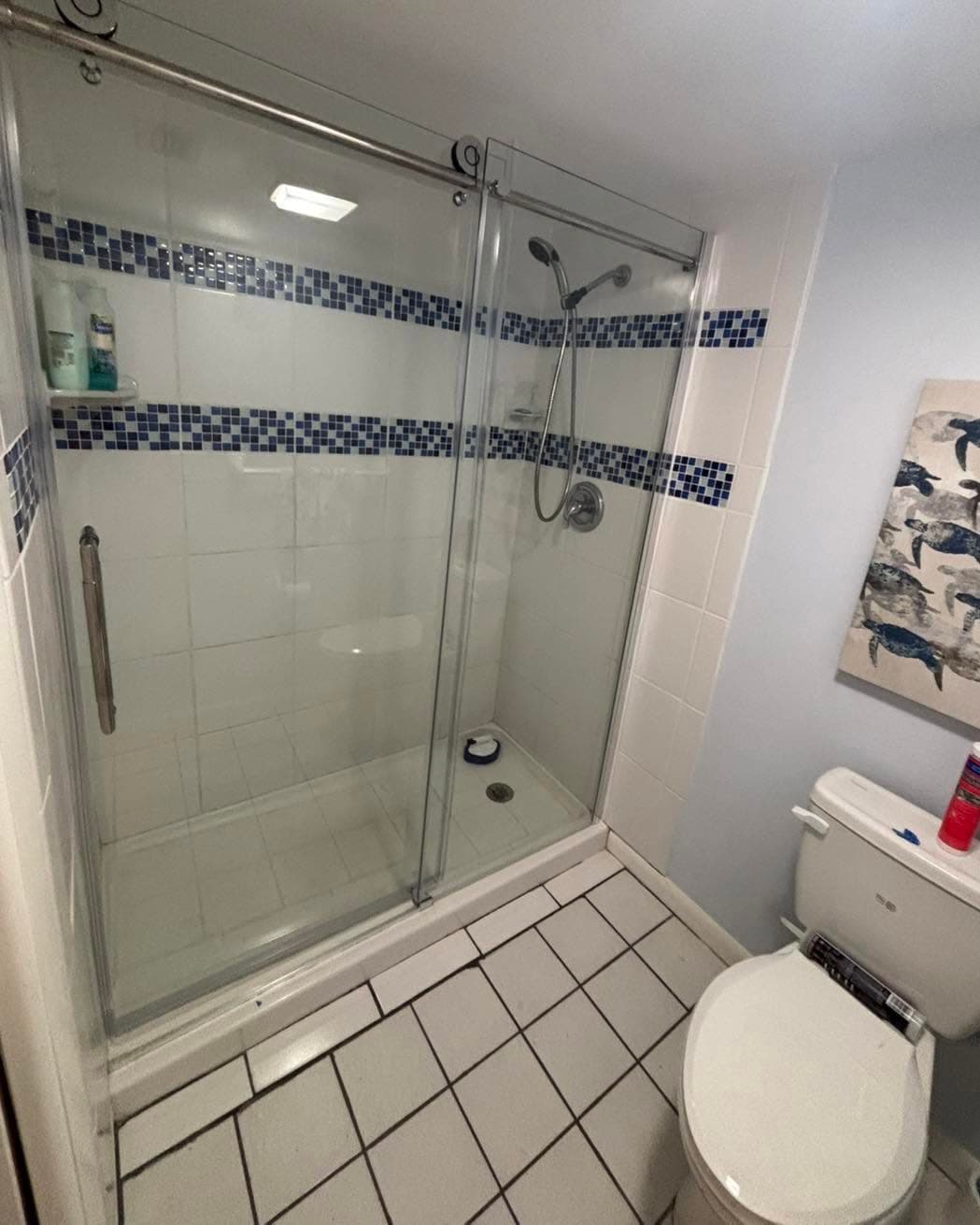 Bathroom Services project photo 7